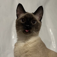 Steam Community Avatar Steam Community Avatar