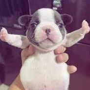 Steam Community Avatar Steam Community Avatar