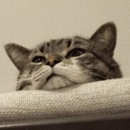 Steam Community Avatar Steam Community Avatar