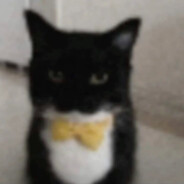 Steam Community Avatar Steam Community Avatar