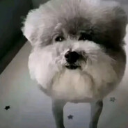 Steam Community Avatar Steam Community Avatar