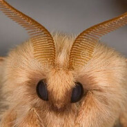 Steam Community Avatar Steam Community Avatar