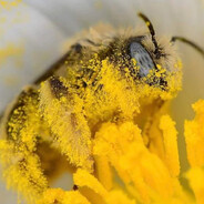 Steam Community Avatar Steam Community Avatar