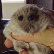 Steam Community Avatar Steam Community Avatar