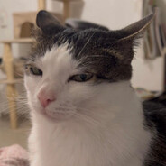 Steam Community Avatar Steam Community Avatar