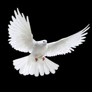 Steam Community Avatar Steam Community Avatar