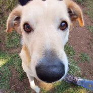 Steam Community Avatar Steam Community Avatar