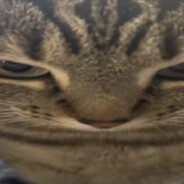 Steam Community Avatar Steam Community Avatar