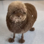 Steam Community Avatar Steam Community Avatar