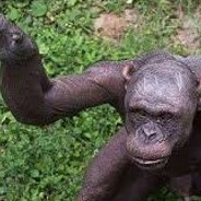 Steam Community Avatar Steam Community Avatar