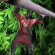 Steam Community Avatar Steam Community Avatar