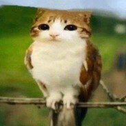 Steam Community Avatar Steam Community Avatar