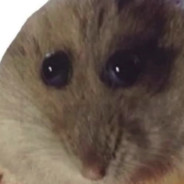 Steam Community Avatar Steam Community Avatar