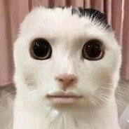 Steam Community Avatar Steam Community Avatar