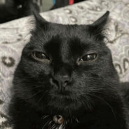 Steam Community Avatar Steam Community Avatar