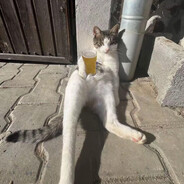 Steam Community Avatar Steam Community Avatar