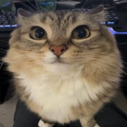 Steam Community Avatar Steam Community Avatar