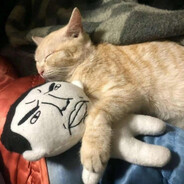 Steam Community Avatar Steam Community Avatar