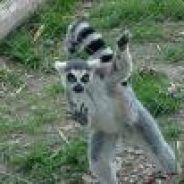 Steam Community Avatar Steam Community Avatar