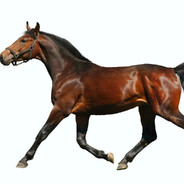 Steam Community Avatar Steam Community Avatar