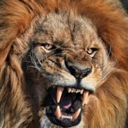 Steam Community Avatar Steam Community Avatar