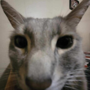 Steam Community Avatar Steam Community Avatar