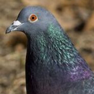 Steam Community Avatar Steam Community Avatar