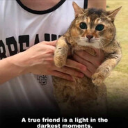 Steam Community Avatar Steam Community Avatar