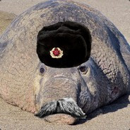 Steam Community Avatar Steam Community Avatar