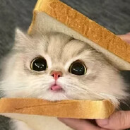 Steam Community Avatar Steam Community Avatar