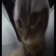 Steam Community Avatar Steam Community Avatar