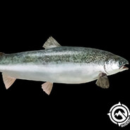 Steam Community Avatar Steam Community Avatar