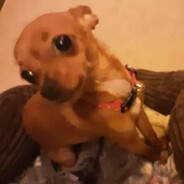 Steam Community Avatar Steam Community Avatar