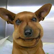 Steam Community Avatar Steam Community Avatar