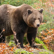 Steam Community Avatar Steam Community Avatar