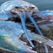 Steam Community Avatar Steam Community Avatar