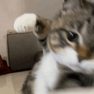 Steam Community Avatar Steam Community Avatar