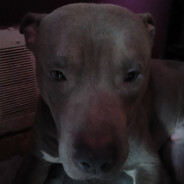 Steam Community Avatar Steam Community Avatar