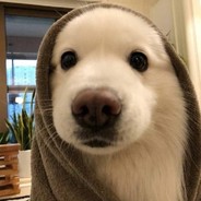 Steam Community Avatar Steam Community Avatar