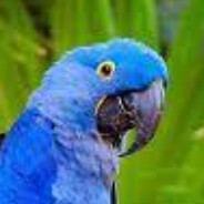 Steam Community Avatar Steam Community Avatar