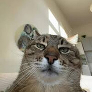 Steam Community Avatar Steam Community Avatar