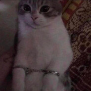 Steam Community Avatar Steam Community Avatar