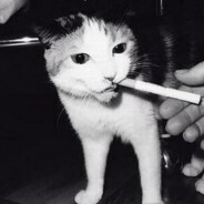 Steam Community Avatar Steam Community Avatar