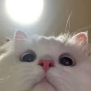 Steam Community Avatar Steam Community Avatar