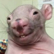 Steam Community Avatar Steam Community Avatar