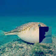 Steam Community Avatar Steam Community Avatar