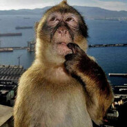 Steam Community Avatar Steam Community Avatar