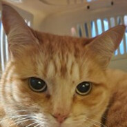 Steam Community Avatar Steam Community Avatar