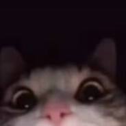 Steam Community Avatar Steam Community Avatar