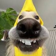 Steam Community Avatar Steam Community Avatar